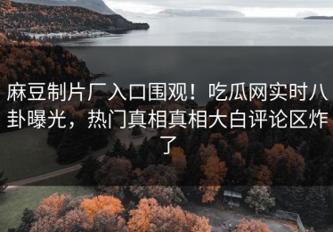 麻豆制片厂入口围观！吃瓜网实时八卦曝光，热门真相真相大白评论区炸了