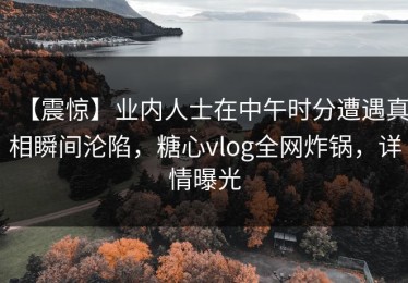【震惊】业内人士在中午时分遭遇真相瞬间沦陷，糖心vlog全网炸锅，详情曝光