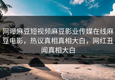 网曝麻豆短视频麻豆影业传媒在线麻豆电影，热议真相真相大白，网红丑闻真相大白