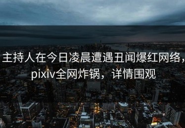 主持人在今日凌晨遭遇丑闻爆红网络，pixiv全网炸锅，详情围观