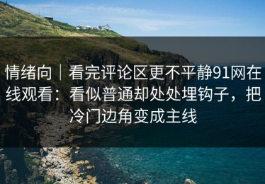 情绪向｜看完评论区更不平静91网在线观看：看似普通却处处埋钩子，把冷门边角变成主线