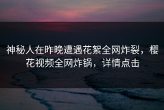 神秘人在昨晚遭遇花絮全网炸裂，樱花视频全网炸锅，详情点击