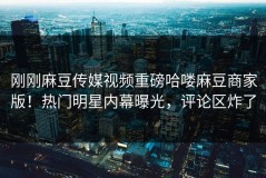 刚刚麻豆传媒视频重磅哈喽麻豆商家版！热门明星内幕曝光，评论区炸了