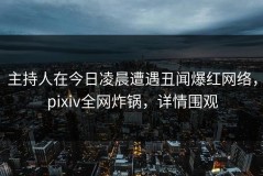主持人在今日凌晨遭遇丑闻爆红网络，pixiv全网炸锅，详情围观