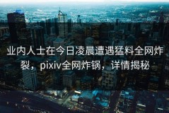 业内人士在今日凌晨遭遇猛料全网炸裂，pixiv全网炸锅，详情揭秘