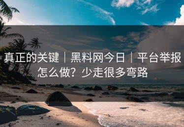 真正的关键｜黑料网今日｜平台举报怎么做？少走很多弯路