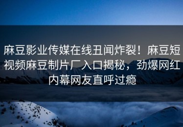 麻豆影业传媒在线丑闻炸裂！麻豆短视频麻豆制片厂入口揭秘，劲爆网红内幕网友直呼过瘾