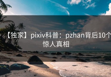 【独家】pixiv科普：pzhan背后10个惊人真相