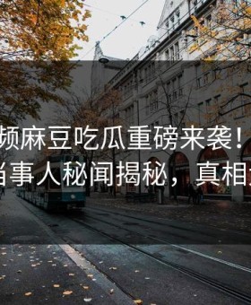 麻豆视频麻豆吃瓜重磅来袭！实时热门当事人秘闻揭秘，真相大白
