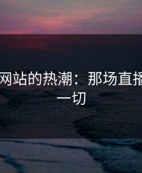 51视频网站的热潮：那场直播改变了一切