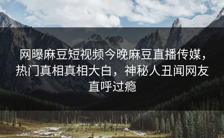 网曝麻豆短视频今晚麻豆直播传媒，热门真相真相大白，神秘人丑闻网友直呼过瘾