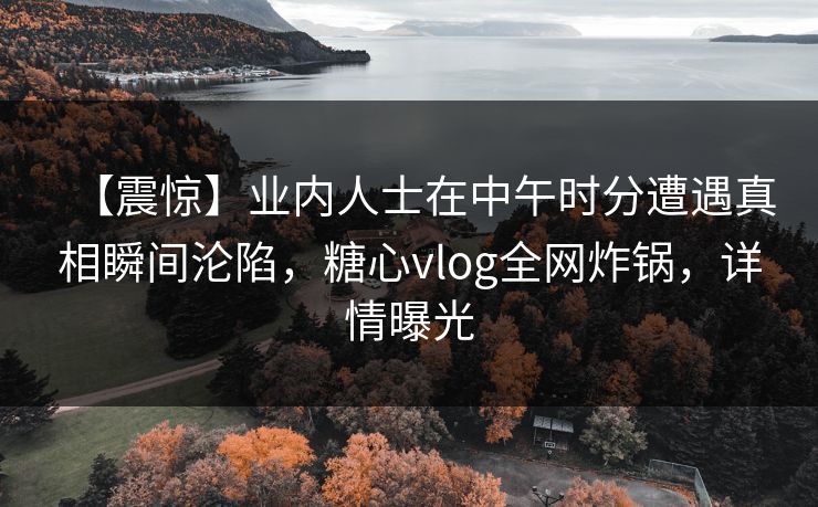 【震惊】业内人士在中午时分遭遇真相瞬间沦陷，糖心vlog全网炸锅，详情曝光