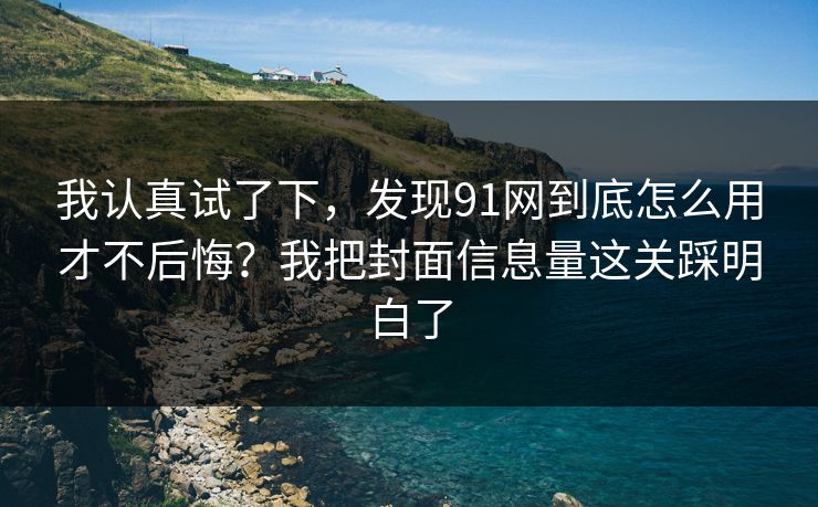 我认真试了下，发现91网到底怎么用才不后悔？我把封面信息量这关踩明白了
